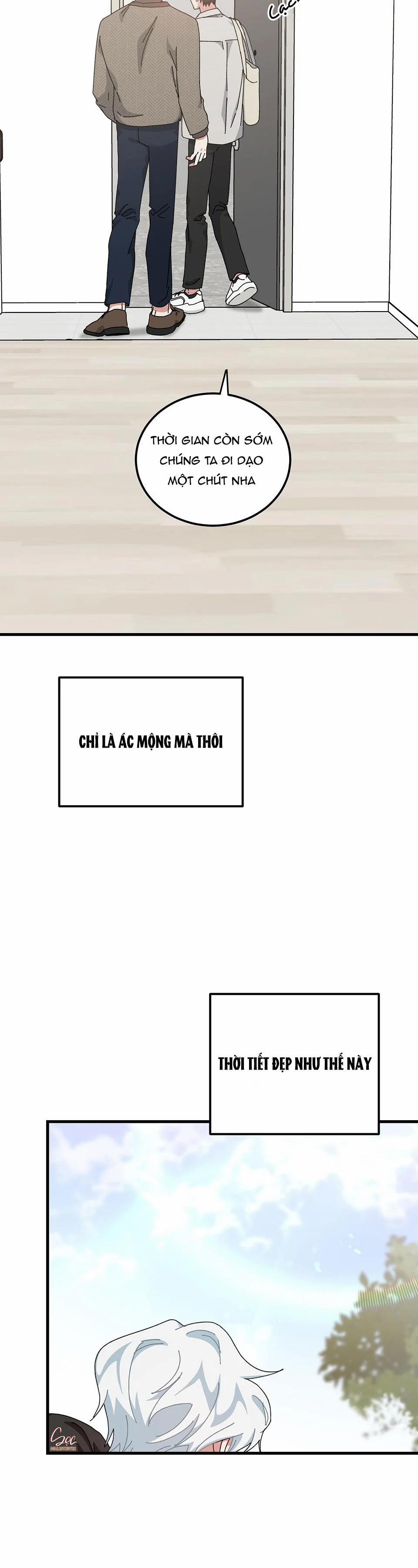 Yêu Tôi Đi, Thần Hộ Mệnh 31 trang 37