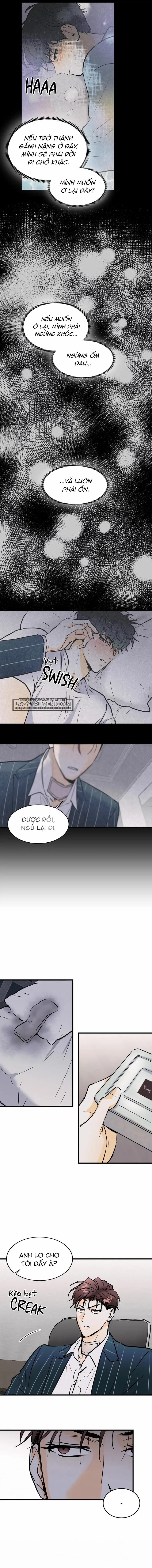 Yêu Và Để Dối 17 trang 8