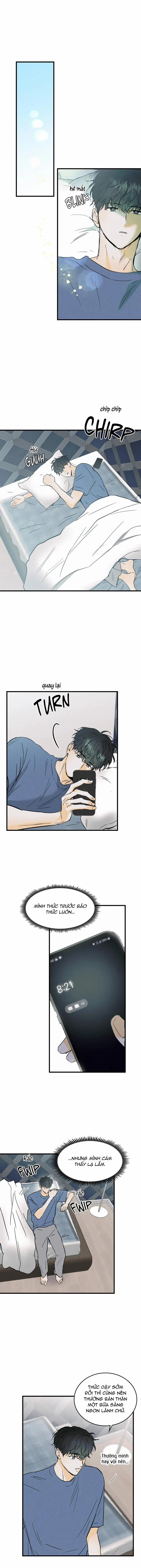 Yêu Và Để Dối 33 trang 0