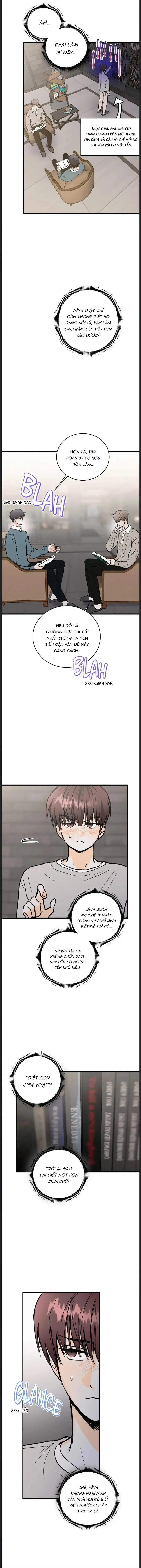 Yêu Và Để Dối 37 trang 6