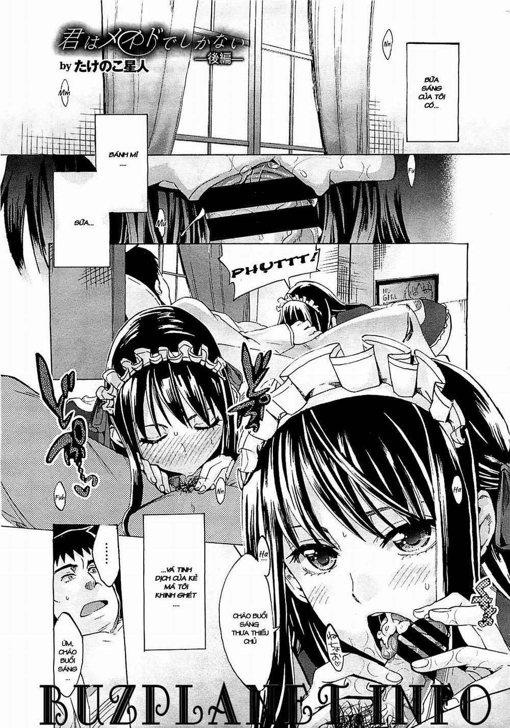 You are Just a Maid 2 [End] trang 8