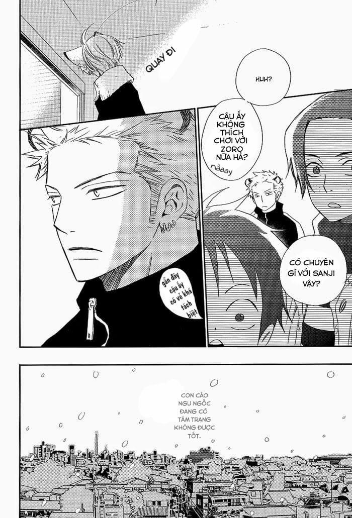 Zosan Doujinshi – One Piece 3 trang 8