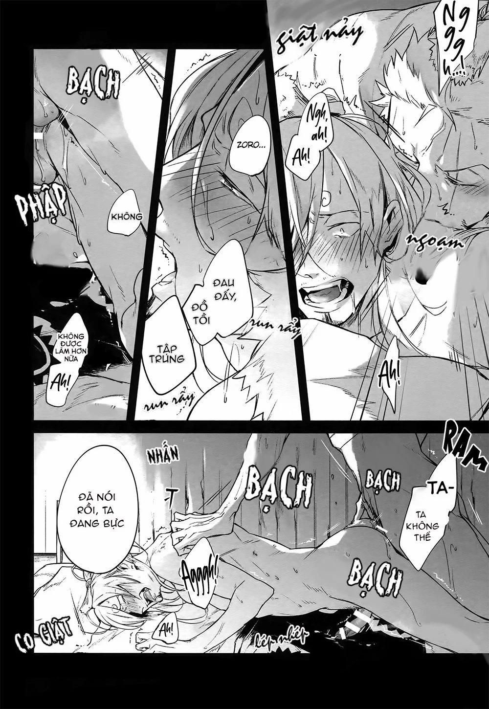 Zosan Doujinshi – One Piece 9 trang 11