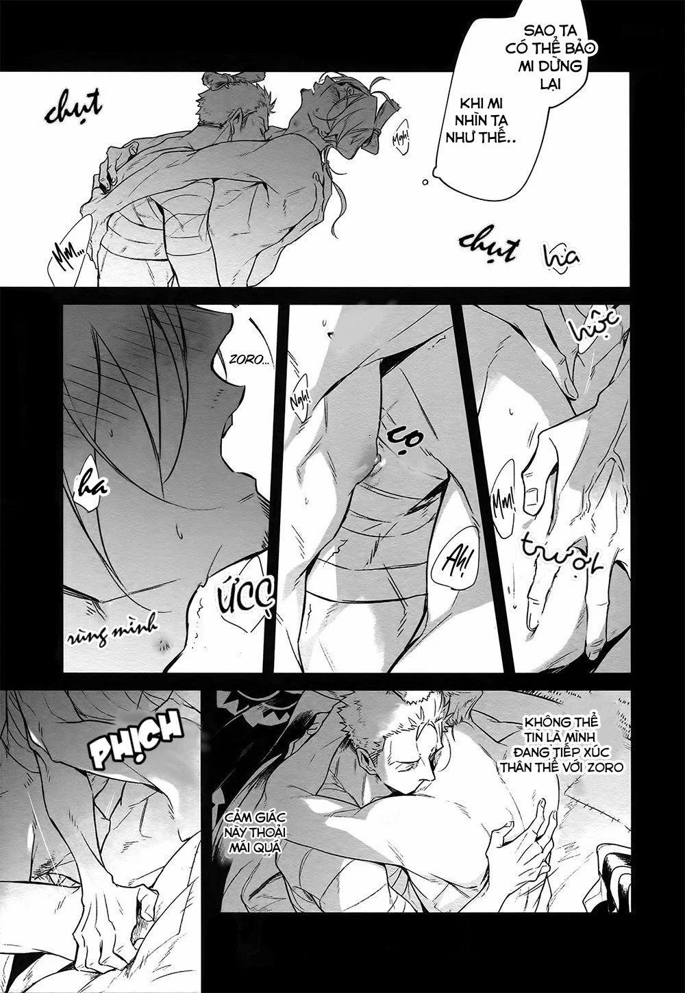 Zosan Doujinshi – One Piece 9 trang 6